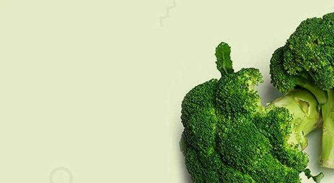 cms-banner2